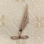 Flossing, flugor på korsett